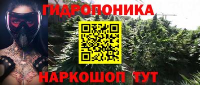 шишки Малгобек