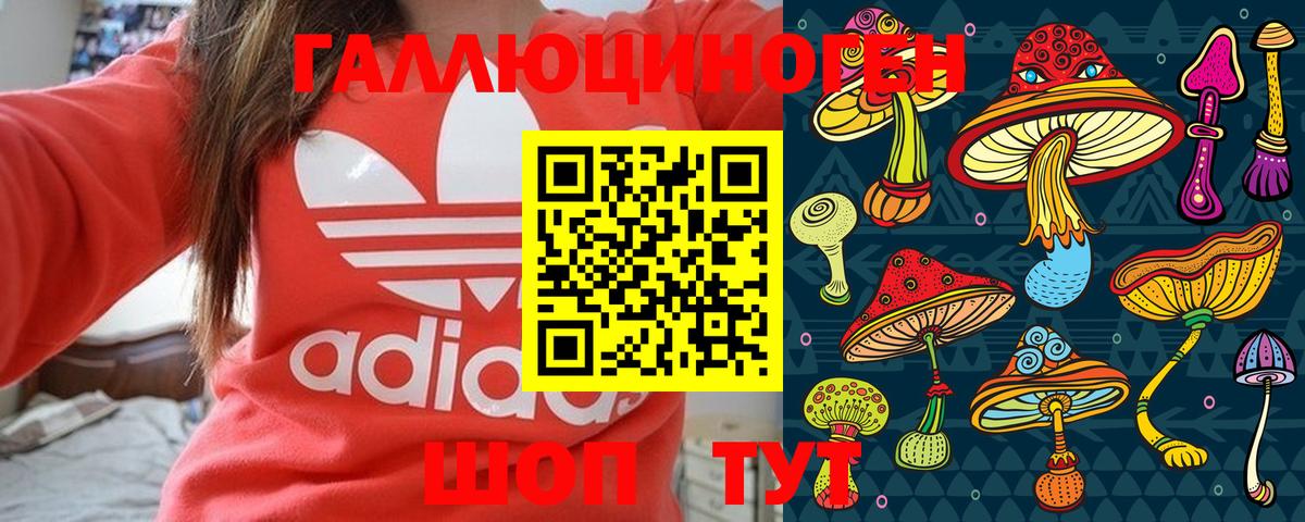 Галлюциногенные грибы Psilocybine cubensis Сочи