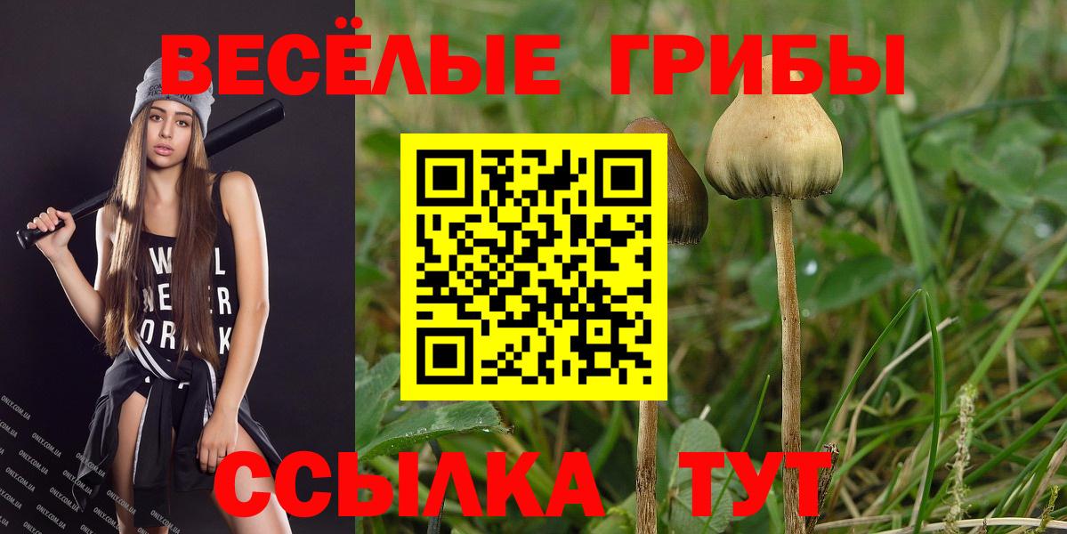 Канабис  Меф  Гашиш  Вход с VPN  Сочи  ГАШИШ  ЭКСТАЗИ  МЕФ   Героин 